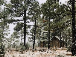 Paisajes de Chihuahua. ESPECIAL/FIDEICOMISO PARA LA PROMOCIÓN TURÍSTICA DEL ESTADO DE CHIHUAHUA ¡AH CHIHUAHUA!.