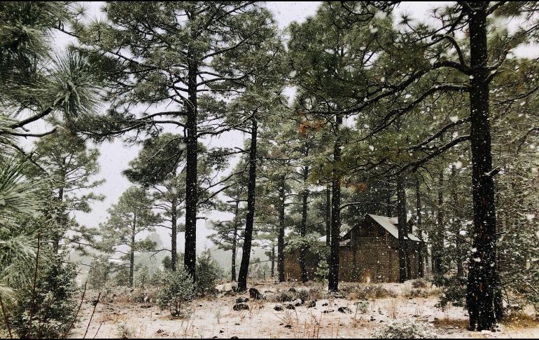 Paisajes de Chihuahua. ESPECIAL/FIDEICOMISO PARA LA PROMOCIÓN TURÍSTICA DEL ESTADO DE CHIHUAHUA ¡AH CHIHUAHUA!.