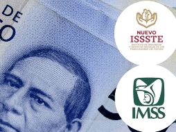 Esta pensión se entrega de manera mensual, por lo que la que llega en febrero será la segunda de las 12 que todos los jubilados recibirán a lo largo del año. ESPECIAL