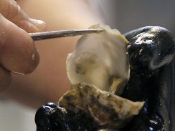 Funcionarios de San Diego dijeron que hay 69 casos confirmados de norovirus. EFE/J. Guillén.