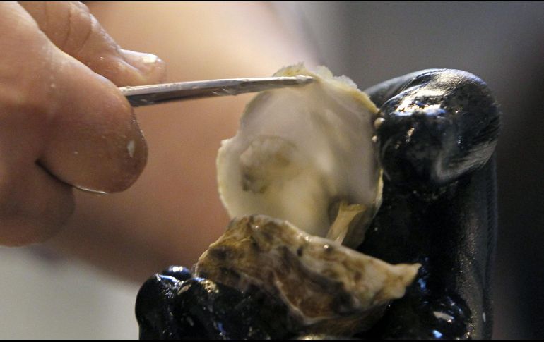 Funcionarios de San Diego dijeron que hay 69 casos confirmados de norovirus. EFE/J. Guillén.