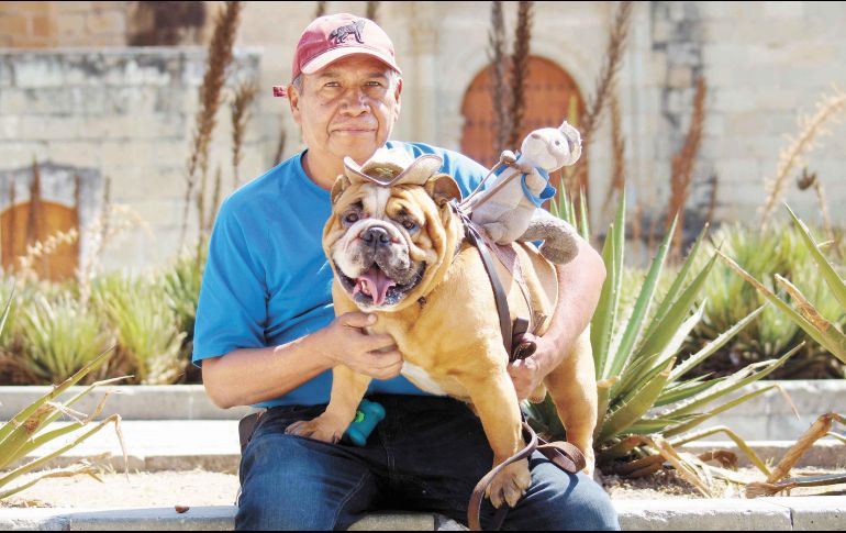 El jadeo en los perros no tiene por qué ser un signo de que algo malo está sucediendo, sin embargo, hay que estar atentos a revisar las características. SUN / ARCHIVO