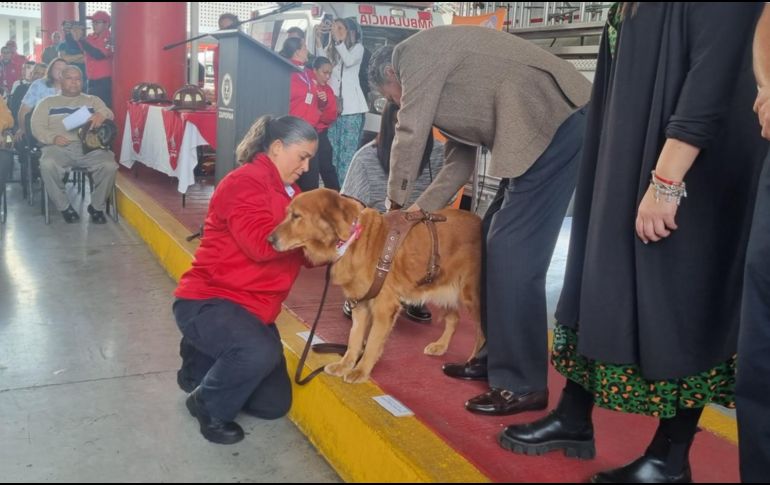 A Akira se le hizo entrega de una pechera por sus años de servicio. EL INFORMADOR / J. VELAZCO
