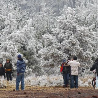 Clima en México: estados en los que nevará este 23 de enero