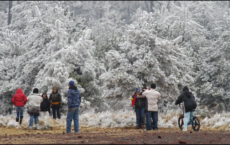 Las condiciones meteorológicas son propicias para la caída de nieve o aguanieve en el norte del país. NOTIMEX/Achivo