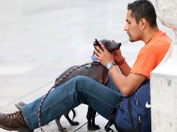 Los nahuas y los mayas pensaban que cuando el espíritu del muerto llegaba al gran río del inframundo, encontraba al de su perro. NTX / ARCHIVO