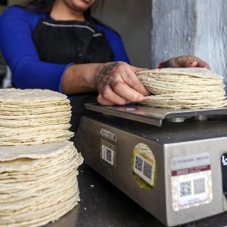 ¿Subirá el precio de la tortilla? Productores lo revelan