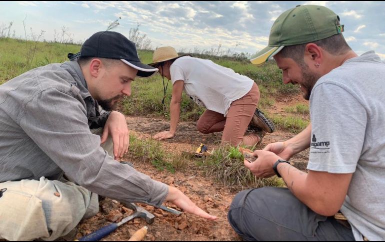 Sus fósiles, fueron encontrados en una granja de la zona rural del municipio de Rosário do Sul. EFE/ A. Dias