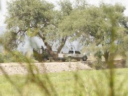 Entre los animales exoticos habia: un león, una leona, un tigre, un jaguar, dos pavorreales y dos caballos. EL INFORMADOR/ ARCHIVO