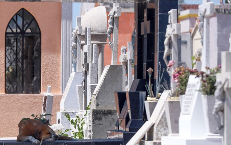 El Inegi resaltó que el COVID-19 dejó de aparecer entre las 10 principales causas de muerte, con solo 3 mil 206 en el periodo. EL INFORMADOR / ARCHIVO