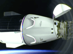 Los cuatro tripulantes de la Crew-8 llevarán a cabo la octava misión a bordo de una cápsula Dragón. X/@SpaceX