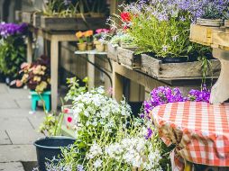 Para participar no requieres inscribirte previamente. La entrada es gratuita. UNSPLASH / J. Schreiber