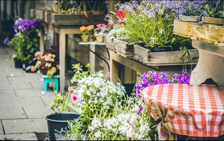 Para participar no requieres inscribirte previamente. La entrada es gratuita. UNSPLASH / J. Schreiber