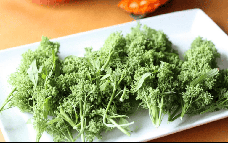 Se trata de una planta comestible que tiene sus orígenes en el centro de México. ESPECIAL/GOBIERNO DE MÉXICO