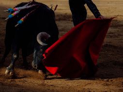 El 5 de febrero de 1946. La Plaza México abrió sus puertas. EL INFORMADOR/ ARCHIVO
