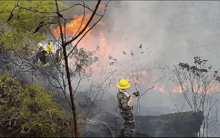Las Brigadas de Refuerzo Forestal de los cuerpos de bomberos de Quito se han sumado a los esfuerzos para combatir el incendio. X/@ComentarioUdeC