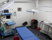 Los expertos en cirugía plástica no se han pronunciado sobre este caso. EL INFORMADOR/ARCHIVO