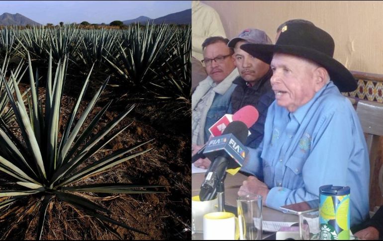 “A los tequileros les conviene darnos el trato justo y debido a los agaveros”, dijo Francisco Javier Guzmán de la Torre, presidente de El Barzón Agavero. AFP/ ARCHIVO / EL INFORMADOR / J. VELAZCO