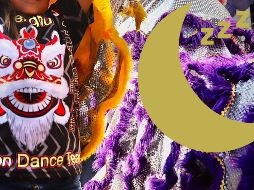 Esto es lo que dice tu animal con respecto a los sueños que tendrás en 2024. EL INFORMADOR / ARCHIVO