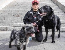 Los perros pequeños podrían experimentar enfermedades como: oculares o cardíacas. SUN/ G. Espinosa