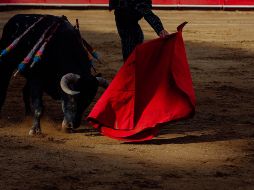 Se fijó para el 7 de febrero la audiencia incidental en la que resolverá si otorga la suspensión definitiva contra el acto reclamado. EL INFORMADOR / ARCHIVO