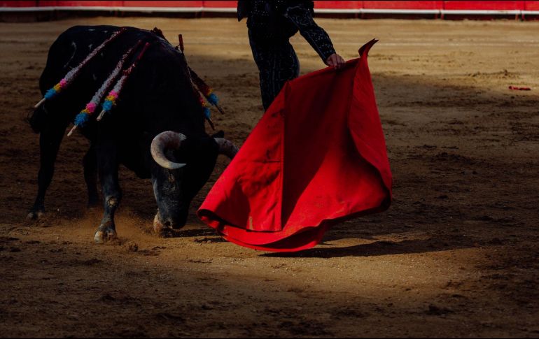 Se fijó para el 7 de febrero la audiencia incidental en la que resolverá si otorga la suspensión definitiva contra el acto reclamado. EL INFORMADOR / ARCHIVO