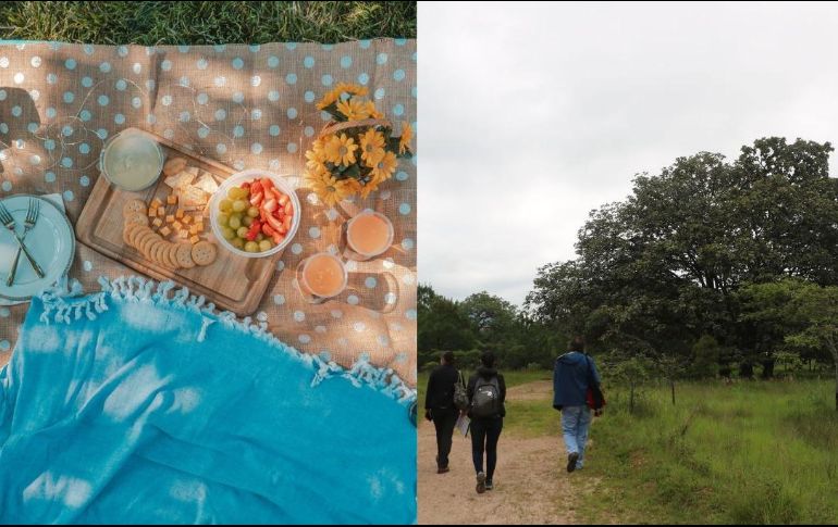 La salida será del Parque Metropolitano a las 9:00 horas. UNSPLASH / D. Parikh / EL INFORMADOR / ARCHIVO