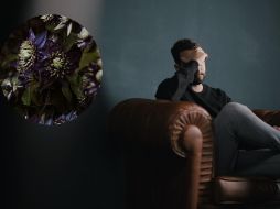 La pasiflora es un remedio natural con grandes propiedades. ESPECIAL/ Foto de Nik Shuliahin en UNSPLASH