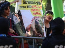 Un grupo de activistas por los derechos de los animales se volvió a presentar en el Coso de Insurgentes para realizar una manifestación. SUN / B. Fregoso