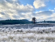 El frío azotará a algunos estados de la zona norte. SUN/ARCHIVO