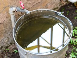 Pagar el agua en la capital será más sencillo con este nuevo sistema. EL INFORMADOR/ARCHIVO