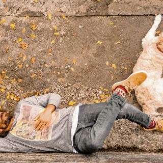 “Candestino Tour”: la fiesta más perruna