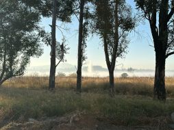 Se detectó la presencia de vapores en las zonas aledañas a la fuga en Tonalá, por lo que se determinó activar este evento debido a los potenciales riesgos a la salud para la población. ESPECIAL / UEPCBJ