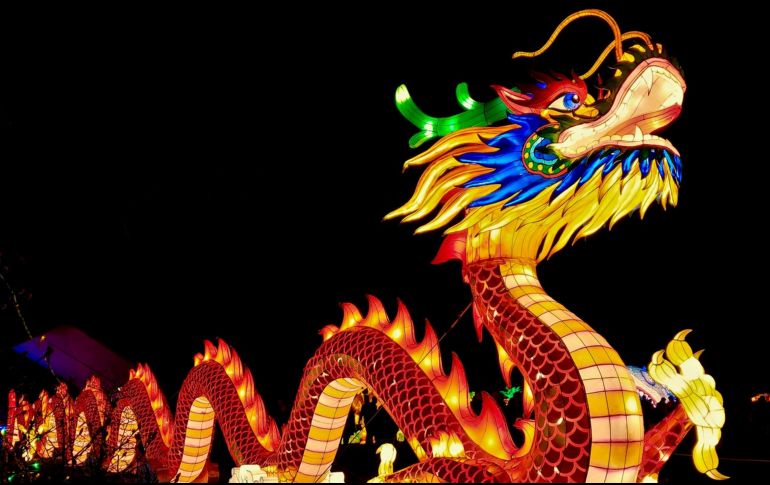 La reconocida astróloga Ludovica Squirru compartió sus predicciones principales del Zodiaco para este período. Unsplash