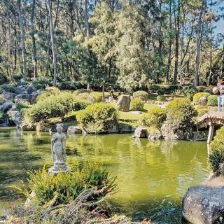 Vive la vida verde en Los Colomos