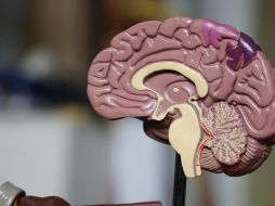 La conciencia sobre la salud cerebral es esencial. Unsplash.