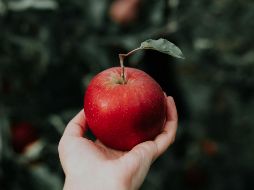 Intenta comer la pieza aproximadamente media hora antes de tu almuerzo para saciar realmente tu sensación de hambre. UNSPLASH / P. Du Preez