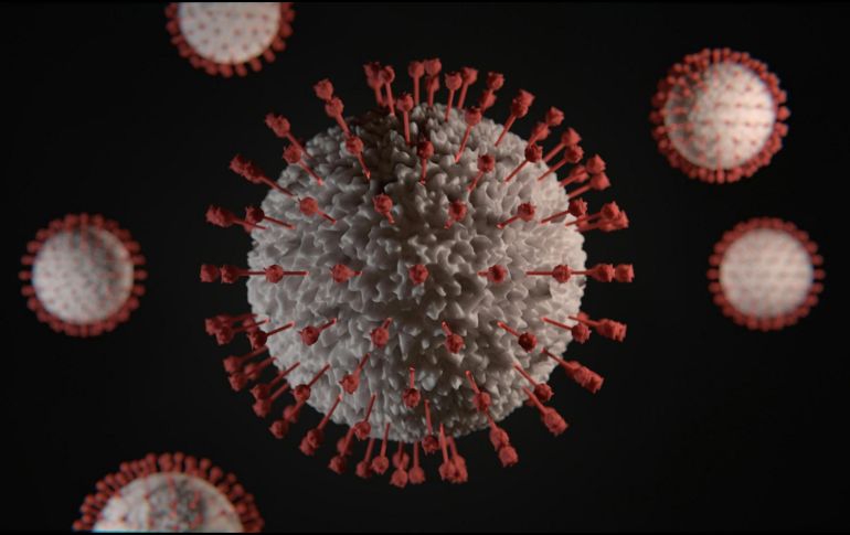 Las personas infectadas presentan fiebre alta, letargo e inflamación de los ganglios linfáticos (bubones).  unsplash