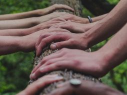 Jóvenes entre 25 y 34 años muestran preferencia por la 