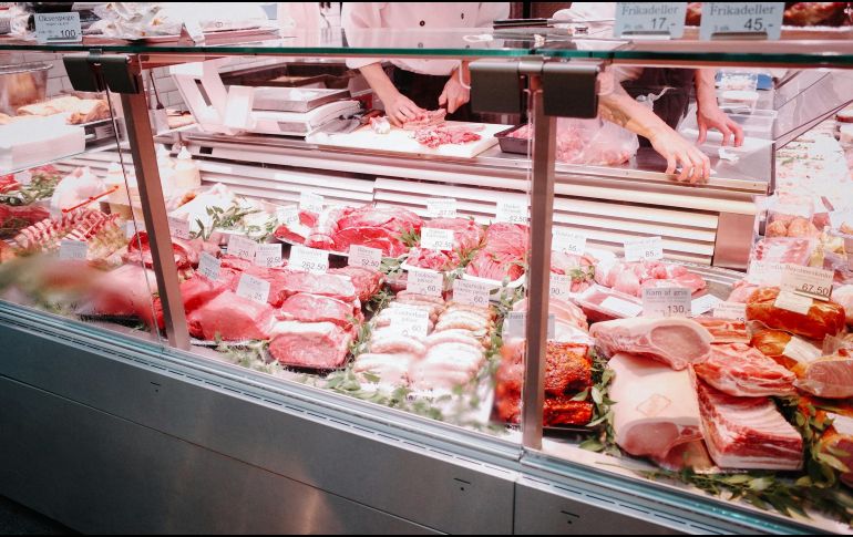 Son prevalentes en animales comestibles como las aves de corral, los porcinos y vacunos, y también en mascotas, como gatos, perros, pájaros y reptiles como las tortugas. UNSPLASH /  D. Liu