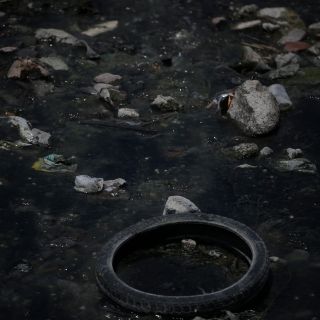 Hay cuatro personas muertas por bacteria burkholderia en Baja California Sur