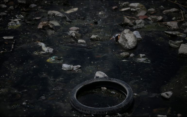 La Melioidosis es una enfermedad infecciosa que puede afectar a seres humanos y animales que tengan contacto directo con el suelo y agua contaminados. EL INFORMADOR/ ARCHIVO