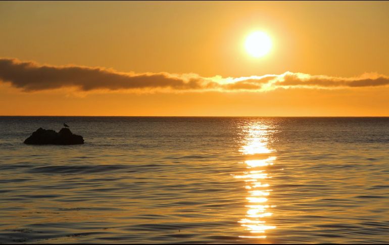 La Organización Meteorológica Mundial explica que 