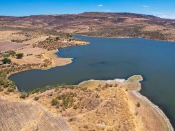 Presa Calderón y la Red embalse presentan niveles menores al 40 por ciento de su capacidad. EL INFORMADOR/ARCHIVO