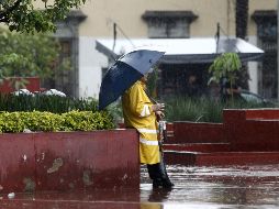 Febrero suele ser un mes de contrastes en materia de clima, por lo que los efectos del fenómeno del 