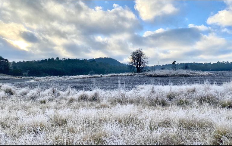 La vaguada polar entró al país y el frío azotará estos estados. SUN/ARCHIVO