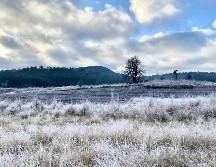 La vaguada polar entró al país y el frío azotará estos estados. SUN/ARCHIVO