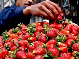 Las fresas cuentan con antioxidantes y dan sensación de saciedad. EFE / ARCHIVO