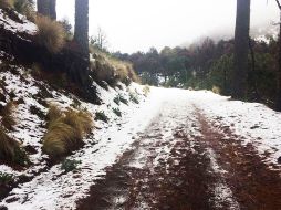 El clima en el país irá de los -10°C en el norte a los 35°C en el sur. NOTIMEX/Archivo