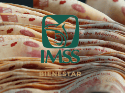 La manera más conocida de aumentar el pago del IMSS que reciben las y los jubilados, es a través de la Modalidad 40, pero hay otra forma. ESPECIAL/ EL INFORMDOR.